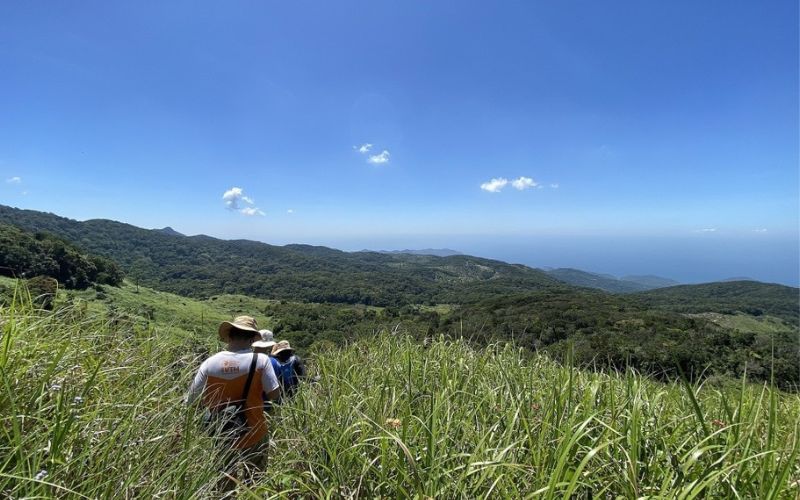 Traveler hiking through green hills with ocean view in Nui Chua National Park, Khanh Hoa, Vietnam