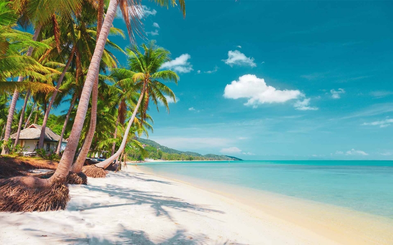 Golden sands, calm turquoise waters, and swaying palms set the scene on Koh Samui’s idyllic beaches, perfect for couples seeking relaxation, sunset views, and a touch of island romance.