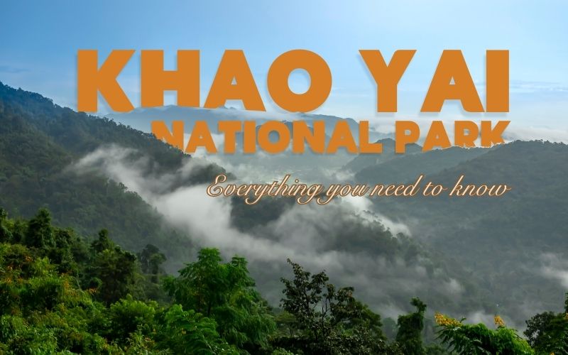 Ultimate Khao Yai National Park Travel Guide: Amazing Waterfalls, Wildlife, and Easy Planning