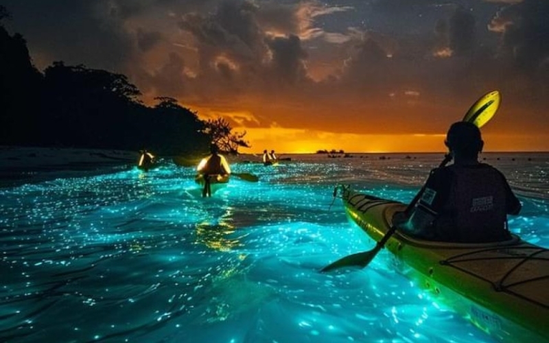 Travelers kayaking under the moonlight in Phang Nga Bay, with limestone cliffs towering above and calm waters glowing with reflections.