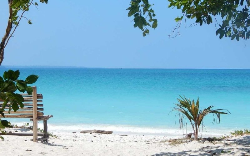 A tranquil scene at Kalapathar Beach on Havelock Island. A wooden bench sits on the pure white sand, facing the turquoise ocean under a bright blue sky, with tropical foliage framing the top of the image.