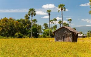 Kampot countryside