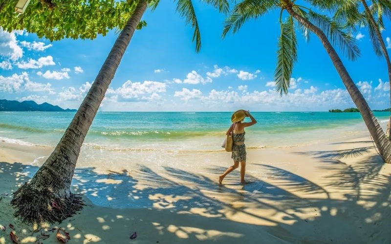 A bright, sunny scene on a white-sand beach in Koh Samui, Thailand. A person wearing a sun hat and a dress walks along the edge of the shallow, clear turquoise water, framed between two large, leaning palm trees whose shadows stretch across the sand. The background features the calm ocean and distant green hills under a bright blue sky.