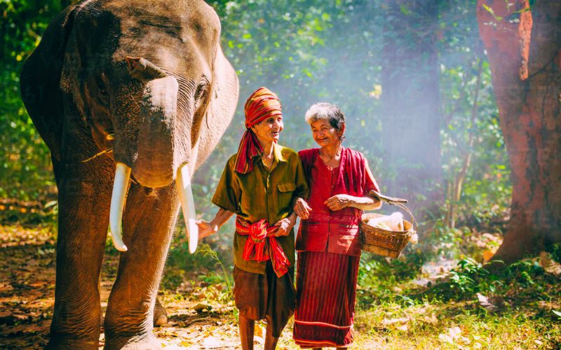 Laos Elephant Village