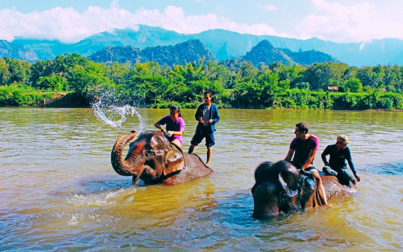 Laos Elephant Village