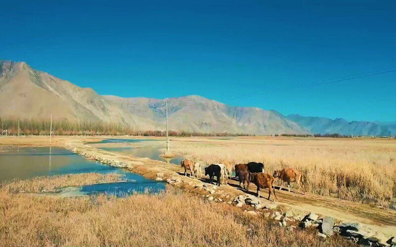 Lhasa River Valley