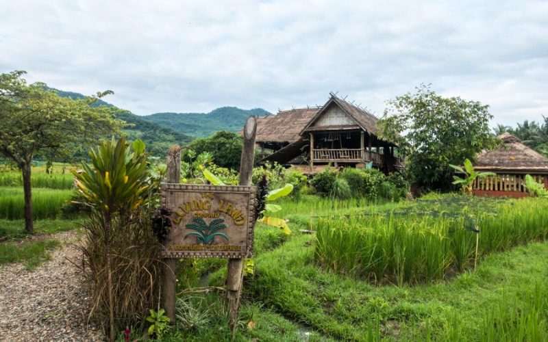 Living Land Farm