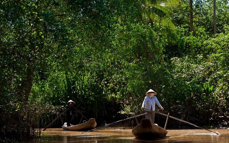 Local life- An Binh island