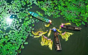 Mekong Delta -Vietnam Day trips