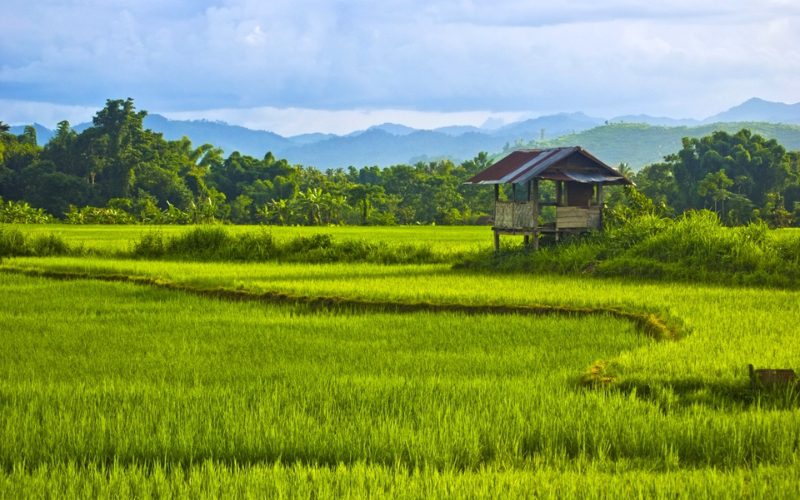 Luang Namtha, Laos