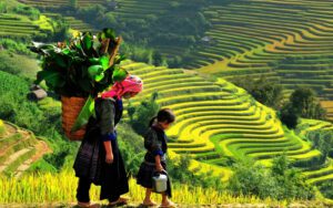 Local life in Sapa