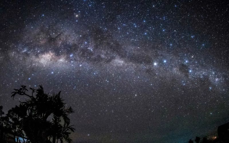 Stunning view of the Milky Way stretching across the night sky in Ha Giang, Vietnam, with silhouettes of trees in the foreground