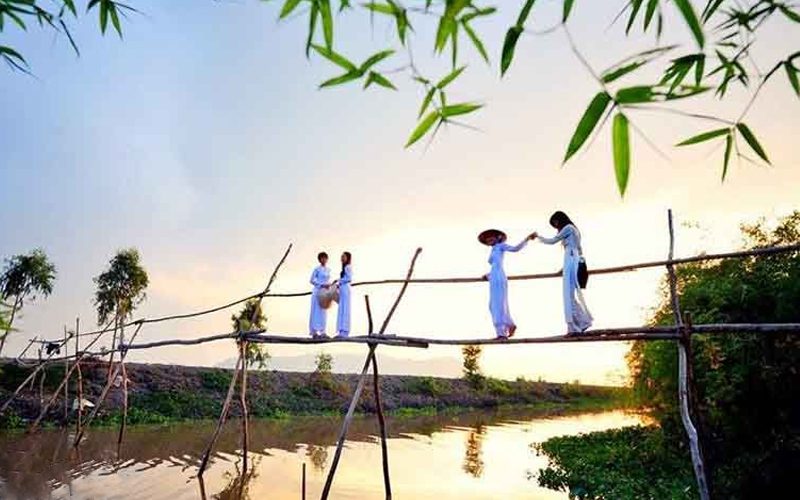 Monkey Bridge- Mekong Delta