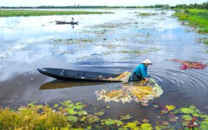 Daily life on the Mekong Delta