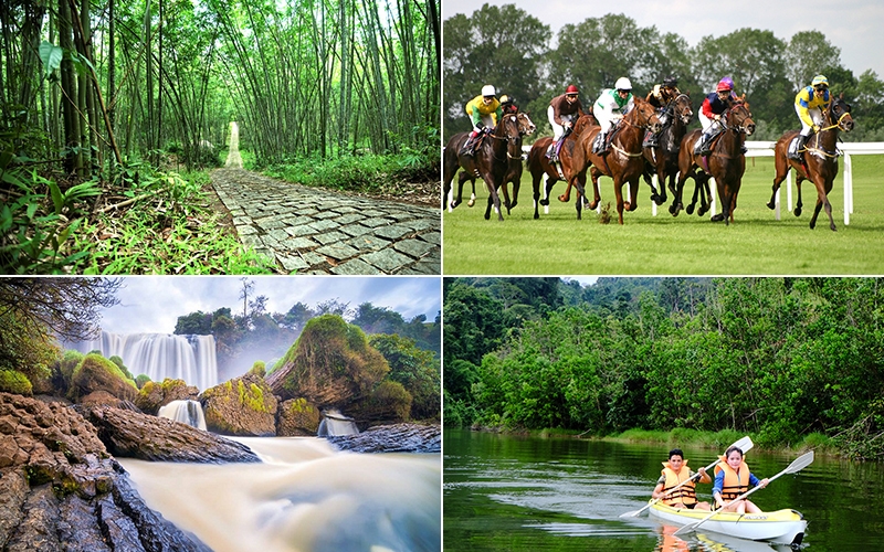 Madagui Ecological Area’s rich greenery and natural landscapes, offering a serene retreat in Lam Dong.