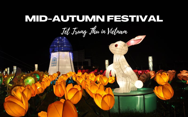 Happy Mid Autumn Festival in Vietnam: Ideas for celebration