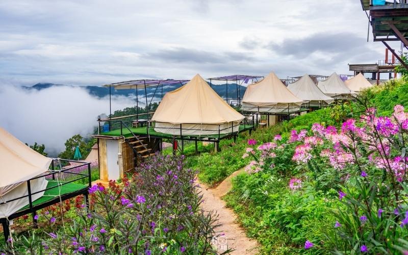 A beautiful hillside scene in Mon Jam near Chiang Mai, Thailand, featuring several elevated glamping-style tent accommodations set on platforms. The foreground has a dirt path bordered by lush green foliage and vibrant purple and pink flowers. Heavy mist and clouds are visible hugging the valleys below the tents, creating a dramatic, high-altitude view.