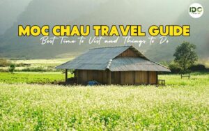 Moc Chau Travel Guide
