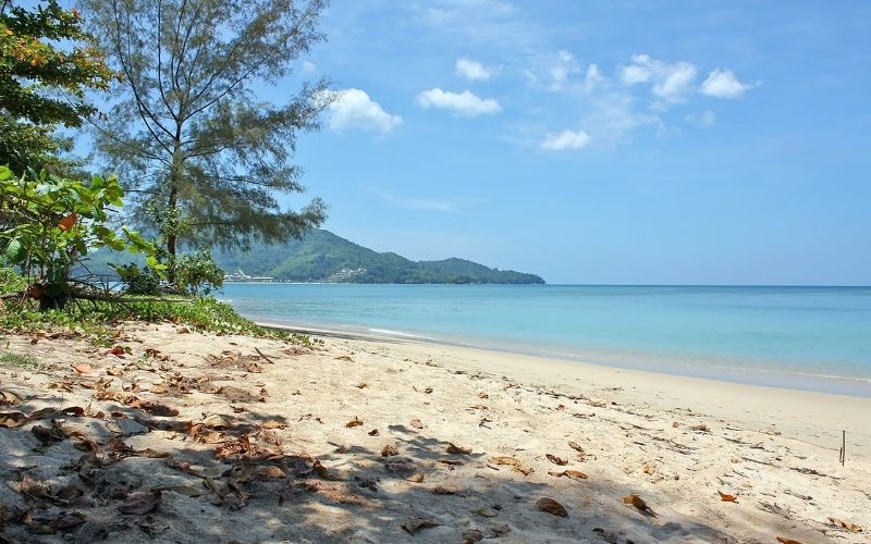 A panoramic view of the pristine Mai Khao Beach in Phuket, featuring a foreground of sandy shore with dried leaves, clear turquoise ocean water, and a backdrop of lush green, forested hills under a bright blue sky.