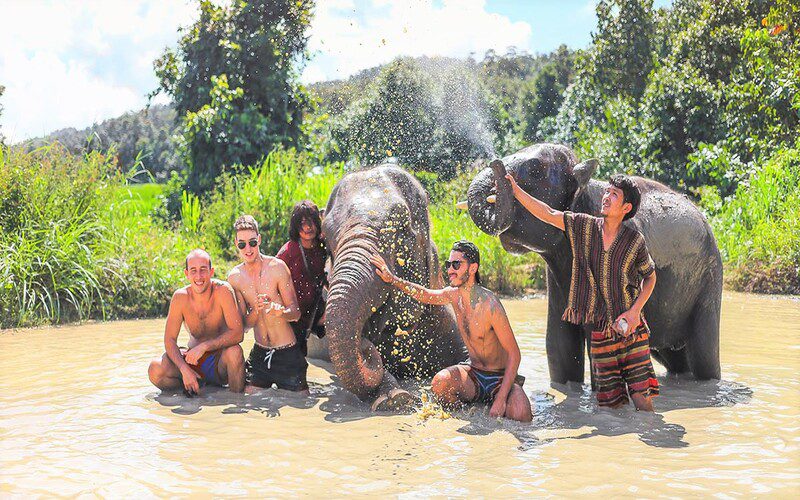 Mud bath with the elephants in Chiang Mai