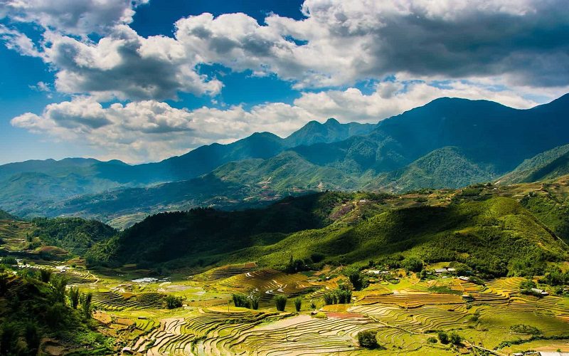 Terraced rice fields of Muong Hoa Valley in Sapa, Lao Cai Province, Vietnam, surrounded by green mountains under a blue sky.