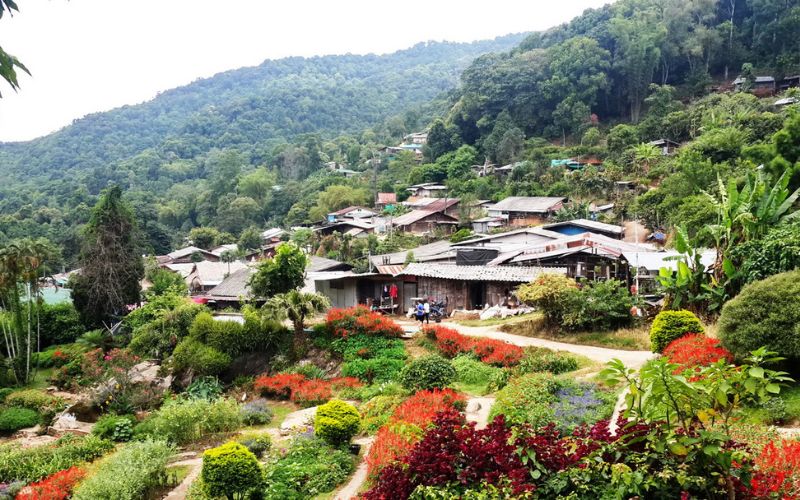 Traditional Hmong village nestled in the mountains of Chiang Mai, Thailand, surrounded by vibrant gardens and lush forest