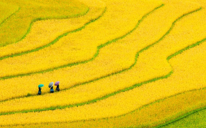 Mai Chau and Ninh Binh in 3 Days