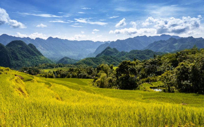 Explore the Northern Regions of Vietnam and Laos in 14 Days