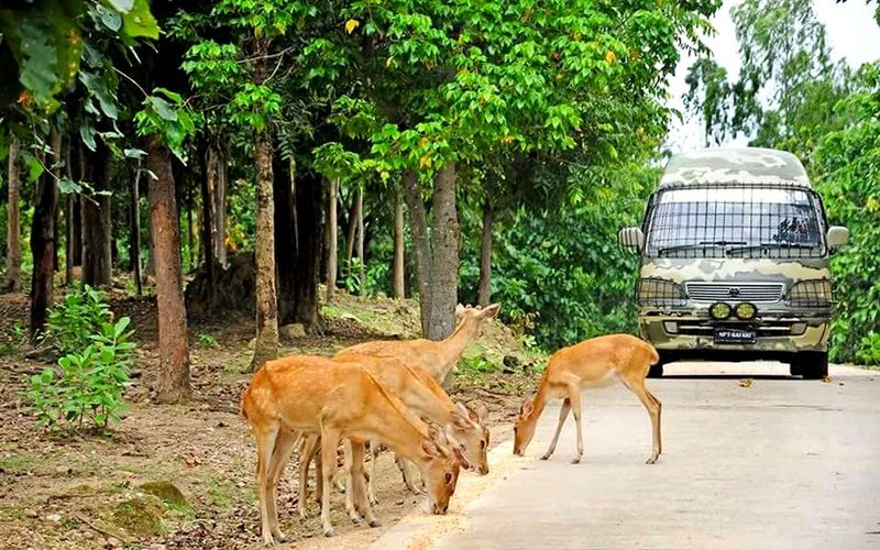 Naypyidaw Zoological and Safari