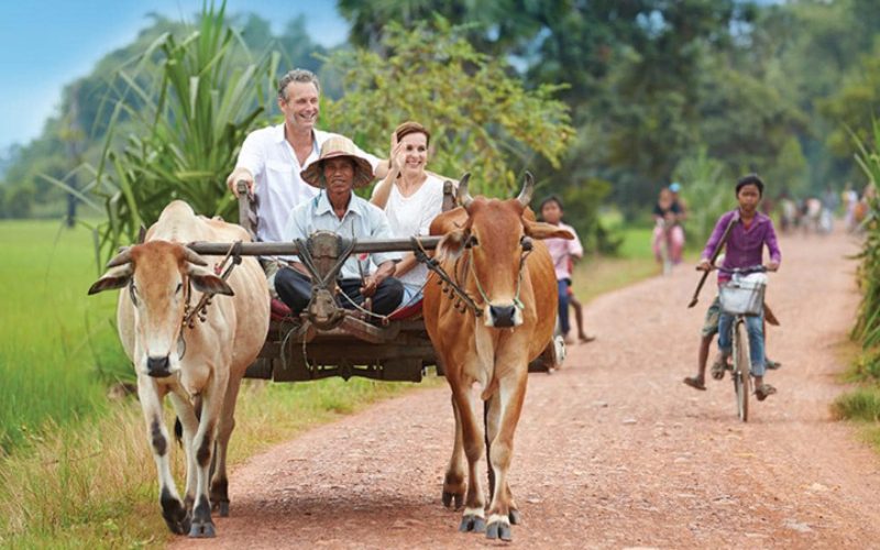 Ox cart ride in Ta Brak Village