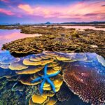 Top 8 Must-Visit Destinations in Central Vietnam