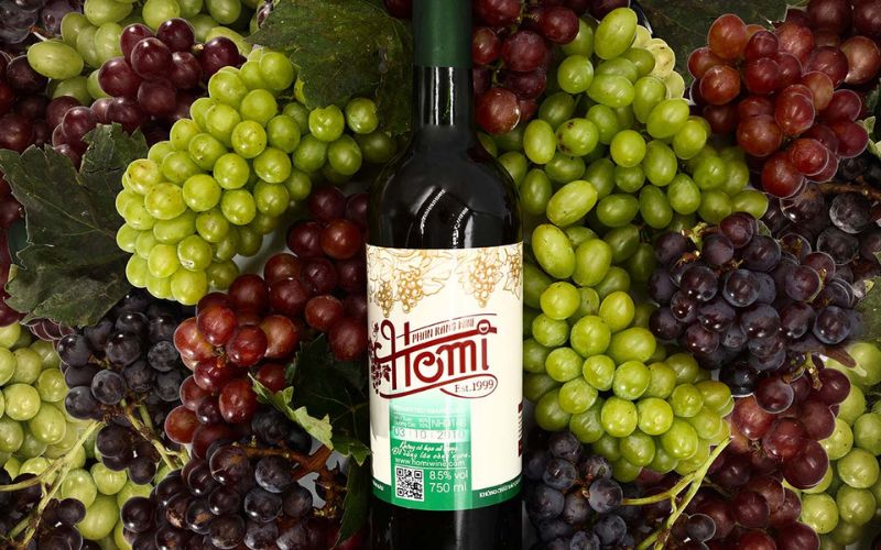 Phan Rang grapes and local wine bottle, famous specialties of Ninh Thuan, Vietnam