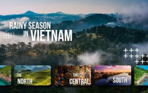 Differences among 3 regions of Vietnam in rainy season