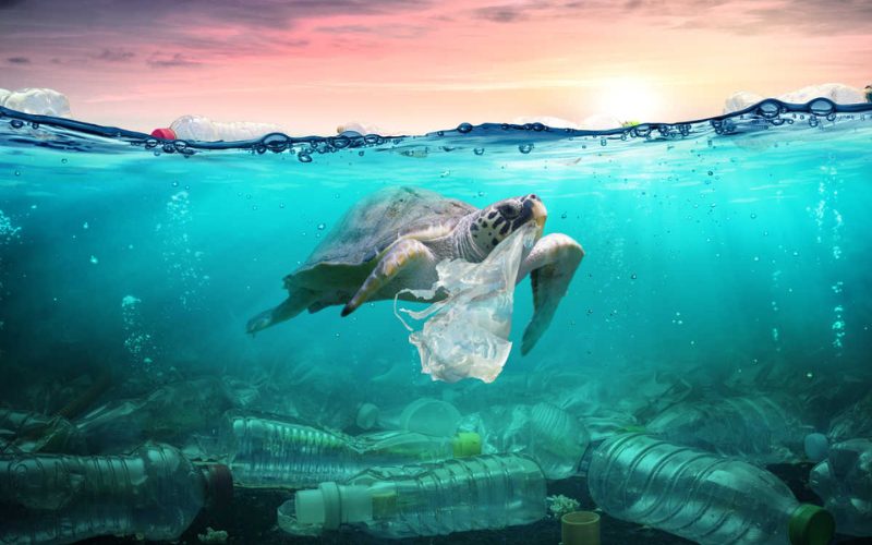 responsible travel limit plastic usage