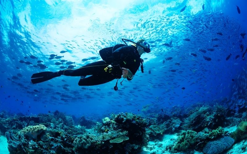 A scuba diver exploring a vibrant coral reef surrounded by colorful fish and clear blue water near Phi Phi Island, Thailand.