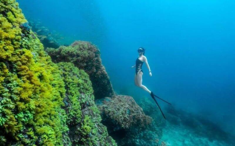 Snorkeling in Nyang Oo Phee Island