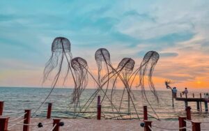 Sunset and squid fishing in Phu Quoc day trip