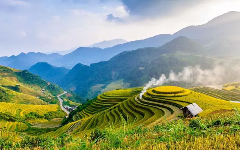 Sapa rice paddy fields