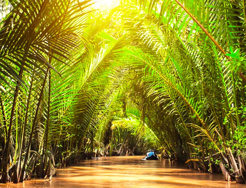 Sampan boat on small canals of Mekong Delta