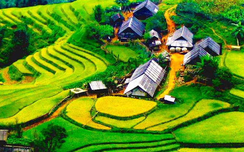 Sapa montagne- Vietnam