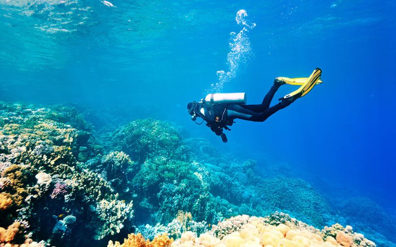 Scuba diving in Koh Rong Sanloem