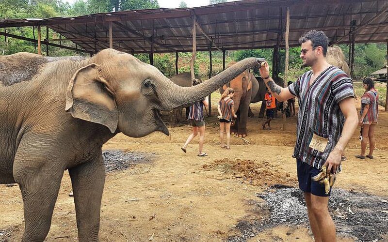 Spend time with gentle giants at the elephant sanctuary