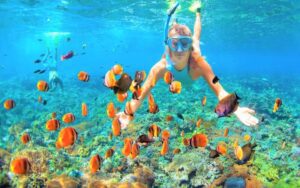 Snorkeling in the clear cyan-colored waters to discover the gardens of coral reefs