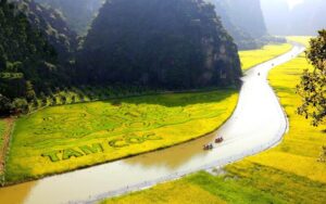 Scenic boat ride through Tam Coc, Ninh Binh, Vietnam with golden rice fields and limestone mountains along the winding river