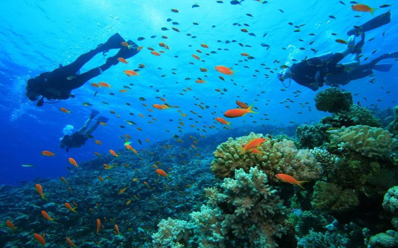Scuba-diving in Koh Rong Saloem