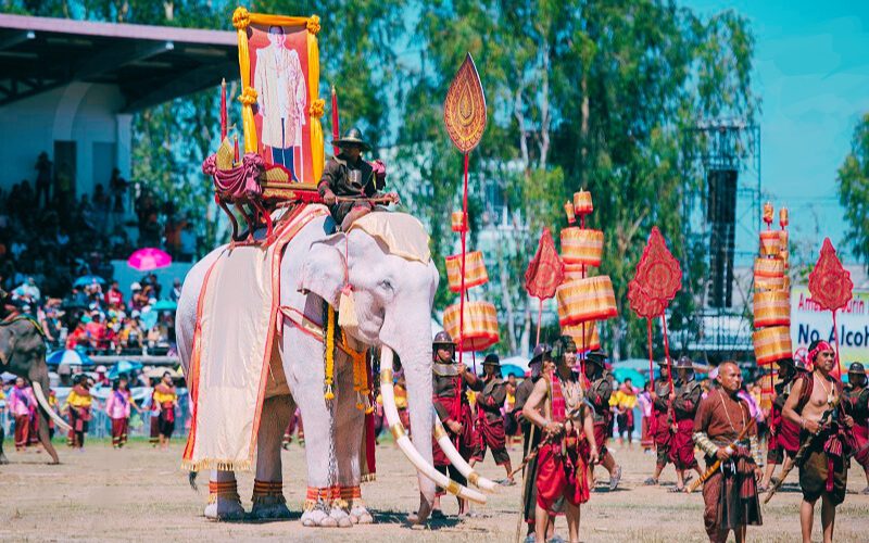 Surin Elephant Festival