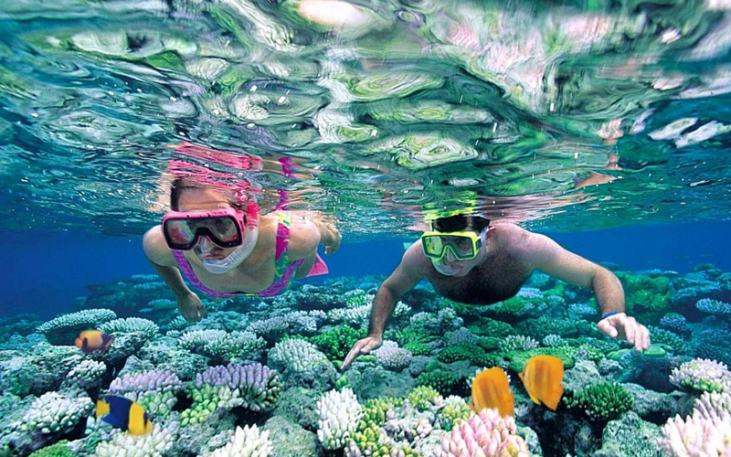 Scube Diving in Nha Trang