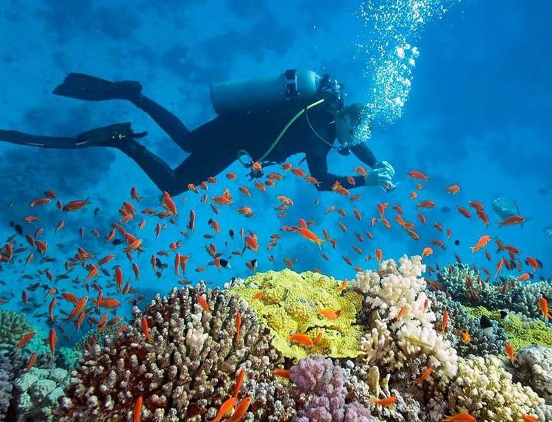 Snorkeling Nha Trang