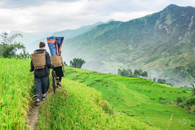 Northern Vietnam Trekking - Sapa