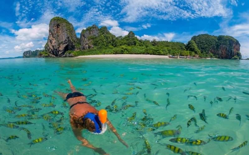 A person snorkeling in crystal-clear turquoise water surrounded by a school of yellow and black striped fish. In the background, a tropical island features a white-sand beach and dramatic limestone cliffs covered in lush greenery.